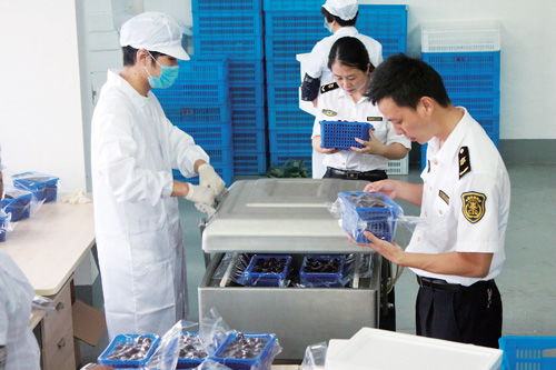 科技賦能農業 山東省博興縣以現代技術與計算機系統服務推動農業升級